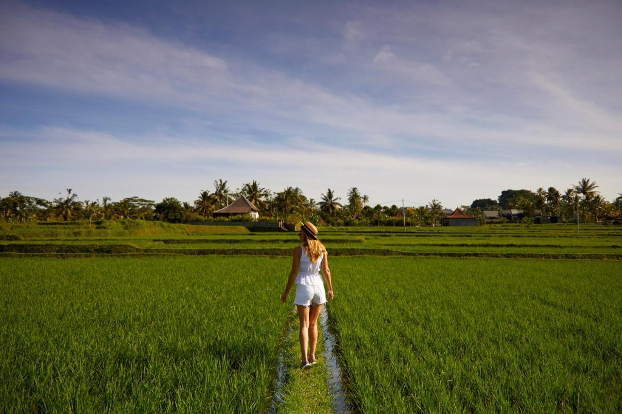 Element Bali Ubud Exterior photo